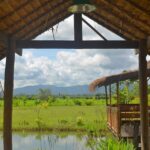 Mae Taeng Valley and Sticky Waterfalls Cycling Tour - What’s Included and What To Bring