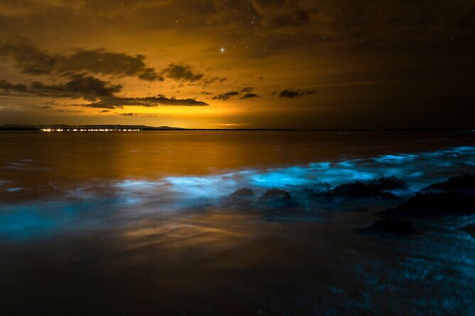 Magical Bioluminescent Night Dive - Who Should Consider This Tour?