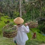 Magical Ubud: Temples, Rice Terraces & Waterfalls - The Value of a Well-Rounded Day