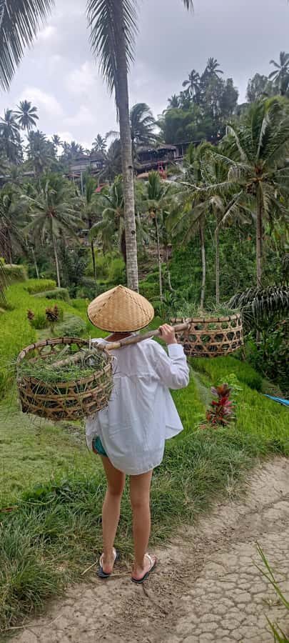 Magical Ubud: Temples, Rice Terraces & Waterfalls - The Value of a Well-Rounded Day
