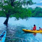 Mahiyanganaya: Sorabora Lake Kayaking Tour with Pickup - Who Should Consider This Tour?