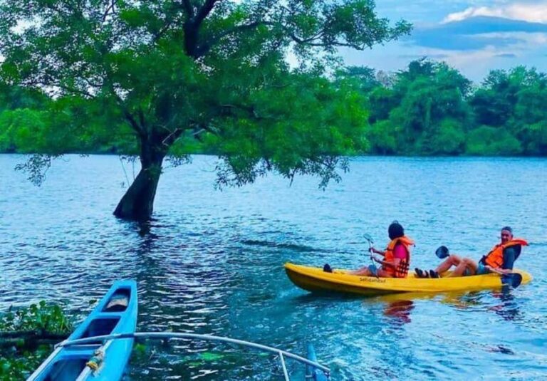 Mahiyanganaya: Sorabora Lake Kayaking Tour with Pickup - Who Should Consider This Tour?
