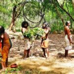 Mahiyanganya: Dambana Vedda Village Guided Tour with Pickup - Exploring the Dambana Vedda Village: An In-Depth Look