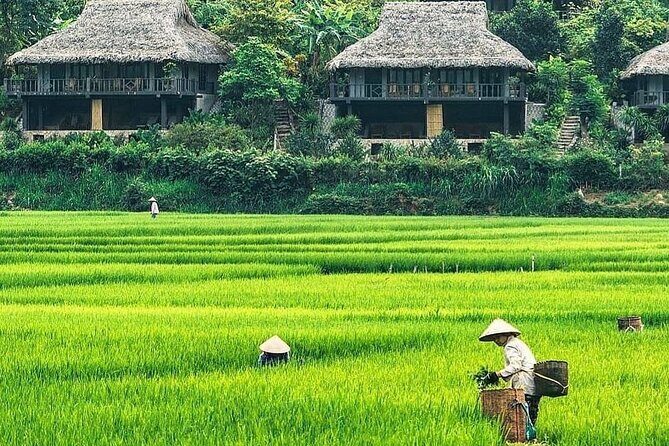 Mai Chau 1 Day: Cycle Through Peaceful Villages, Scenic Valleys - Practical Tips for Travelers