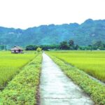 Mai Chau 1 Day Trip from Hanoi with Biking - Highlights and Unique Aspects