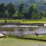 Mai Chau Day Trip: Explore the Beauty of Rural Villages by Bike - What We Love and What to Keep in Mind