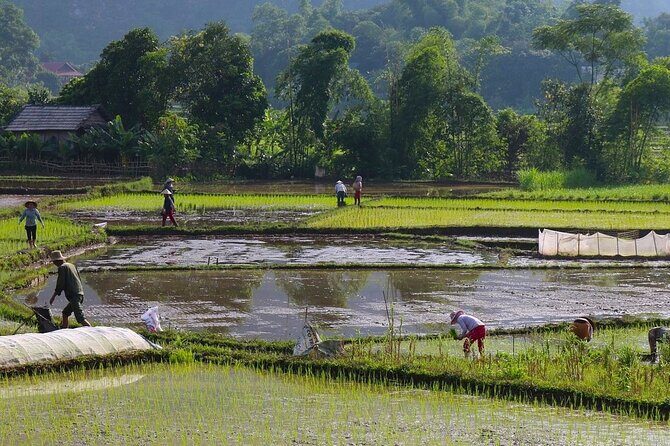 Mai Chau Day Trip: Explore the Beauty of Rural Villages by Bike - What We Love and What to Keep in Mind