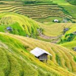 Mai Chau Group Day Tour - Why This Tour Is a Great Choice