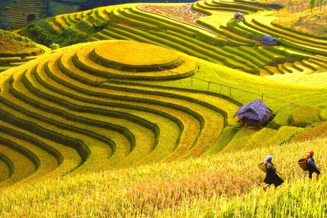 Mai Chau Hidden Treasures with Cycling Culture and Cave Wonders - A Deep Dive into the Experience  