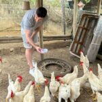 Mai Chau & Pu Luong 2D1N: Nature,Culture,Local Village Experience - What to Expect: A Day-by-Day Breakdown