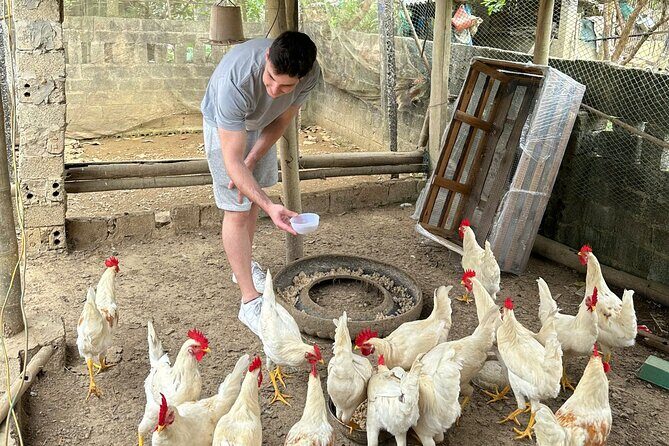 Mai Chau & Pu Luong 2D1N: Nature,Culture,Local Village Experience - What to Expect: A Day-by-Day Breakdown