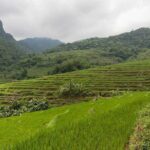 Mai Chau to Pu Luong 3-Day Tour from Hanoi - Food and Drink: Tasting Vietnamese Flavors