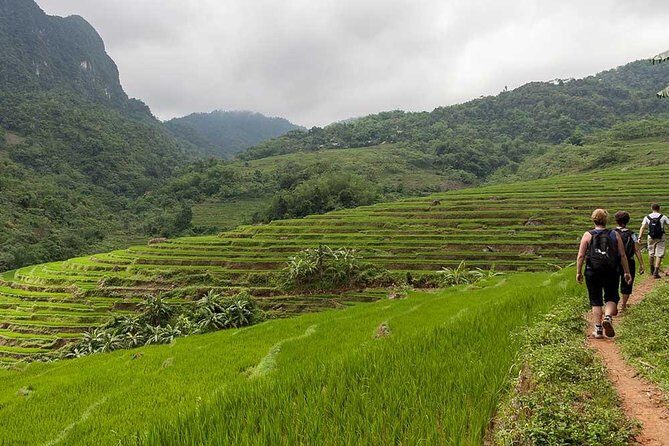 Mai Chau to Pu Luong 3-Day Tour from Hanoi - Food and Drink: Tasting Vietnamese Flavors