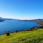 Mainland & Otago Peninsula Tour - Transportation and Group Size