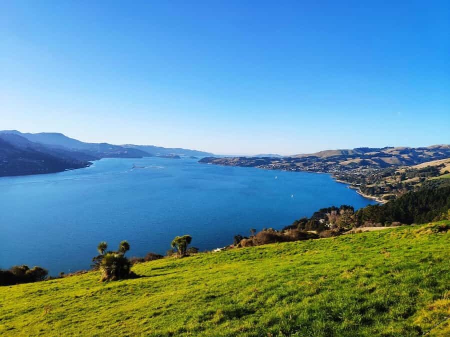 Mainland & Otago Peninsula Tour - Transportation and Group Size