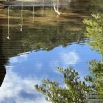 Makang, Mutan, Houtong Cat Village & Sandiaoling Day Tour - The Sum Up