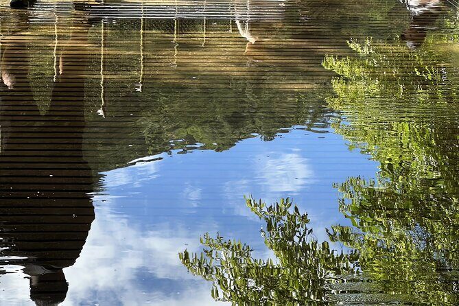 Makang, Mutan, Houtong Cat Village & Sandiaoling Day Tour - The Sum Up