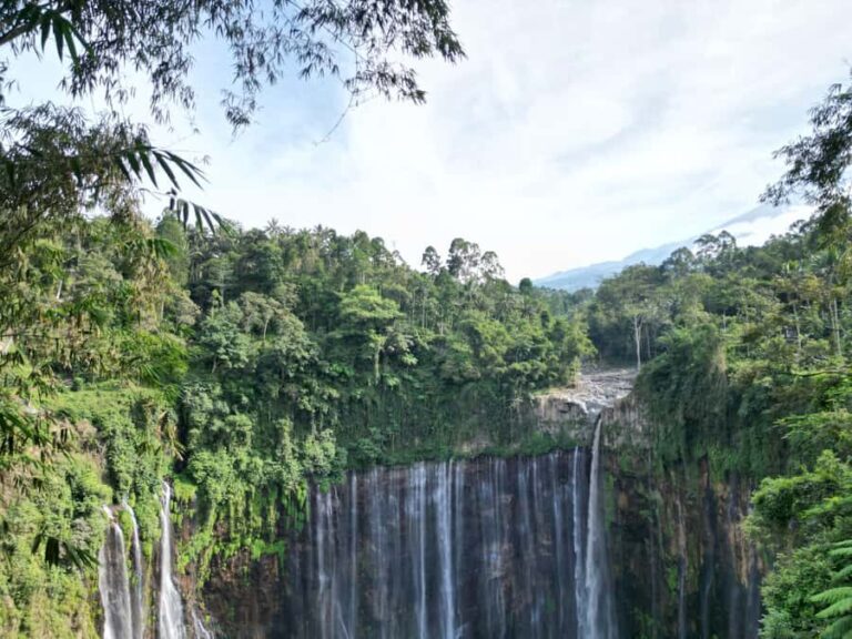 Malang: Bromo & Tumpak Sewu Shared Transfer & Tour - What Makes This Tour Stand Out  