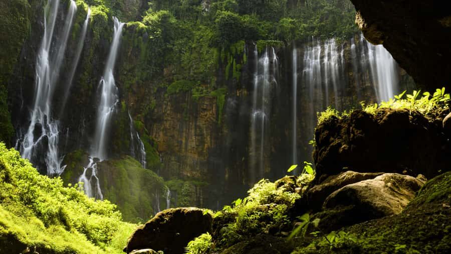 Malang: Tumpak Sewu Waterfall, Blue Lagoon & Goa Tetes - Who Is This Tour Best For?