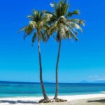 Malapascua Island Day Tour from Cebu City - In-Depth Look at the Itinerary