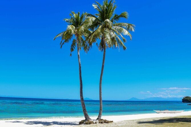 Malapascua Island Day Tour from Cebu City - In-Depth Look at the Itinerary