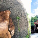 Malaysia Heritage Studios in Melaka - Who Should Consider Visiting?