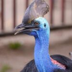 Malaysia: Langkawi Wildlife Park Entry Ticket - Inside the Park: What to Expect