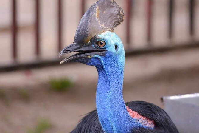 Malaysia: Langkawi Wildlife Park Entry Ticket - Inside the Park: What to Expect