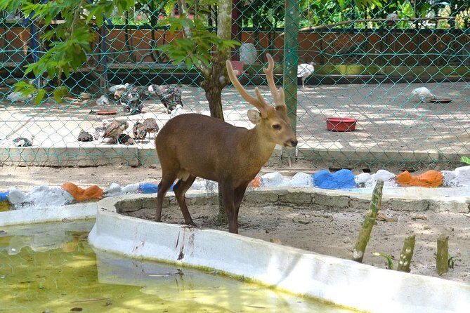 Malaysia: Langkawi Wildlife Park Entry Ticket - FAQ