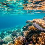 Maldives Alif Alif Atoll 3-Point Snorkeling Tour with Guide - Who Is This Tour Best For?
