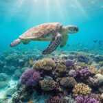 Maldives Alif Alif Atoll 3-Point Snorkeling Tour with Guide - What Makes This Tour Special?