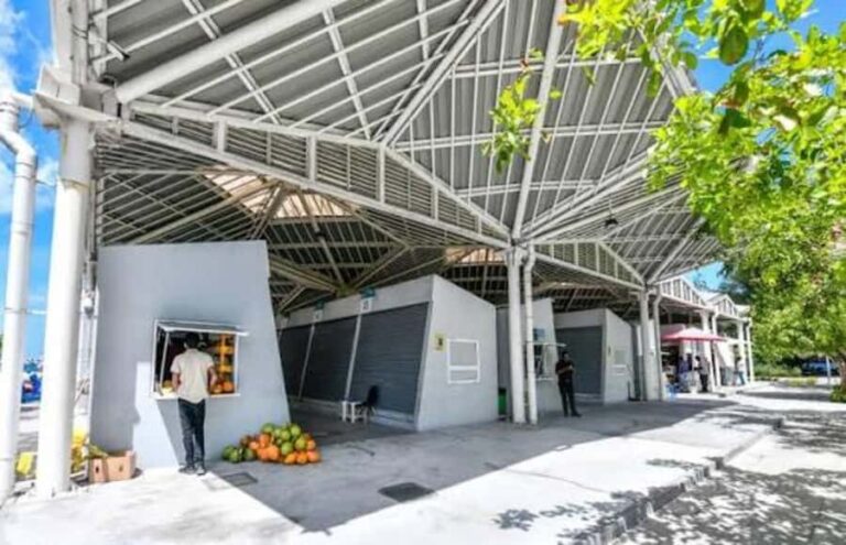 Maldives : Hulhumale Guided Tour with Local Guide - Itinerary Breakdown: What to Expect