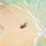 Maldives: Sandbank Tour with Snorkeling - The Sandbank Experience