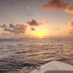 Maldives: Sunset Cruise with Dolphin Watching - Analyzing the Value: Is It Worth It?