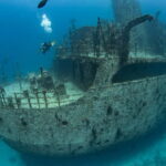 Maldives: Victory Shipwreck Scuba Dive - What the Dive Experience Looks Like