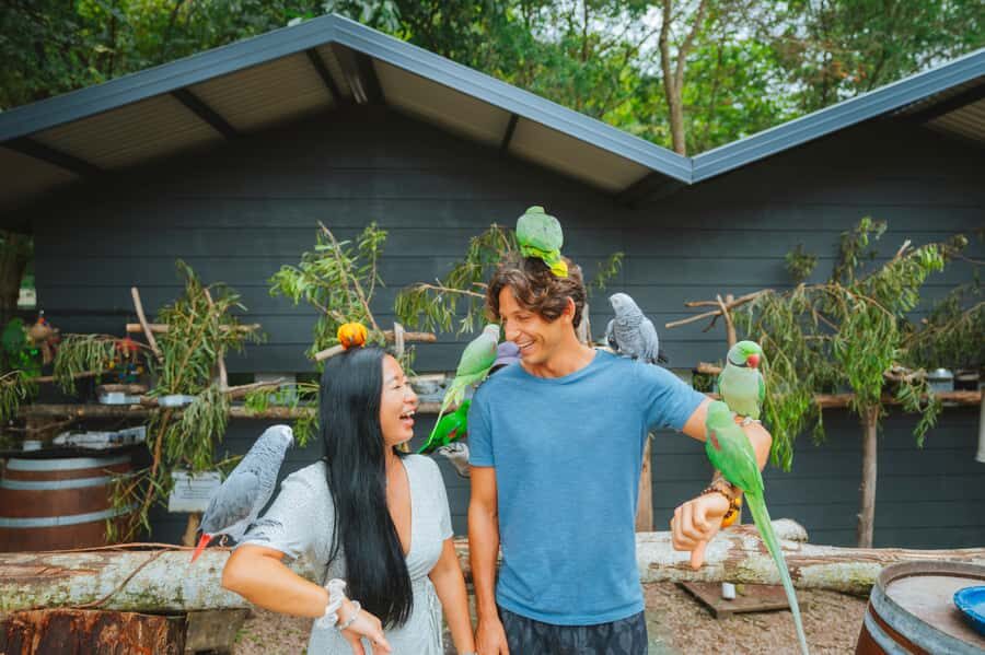 Maleny: Maleny Botanic Gardens & Bird World Entry Ticket - Practical Details & Tips