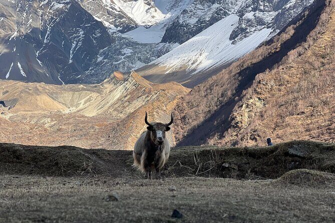 Manaslu Circuit Trek Untouched Beauty of Nepal - Practical Details and Value