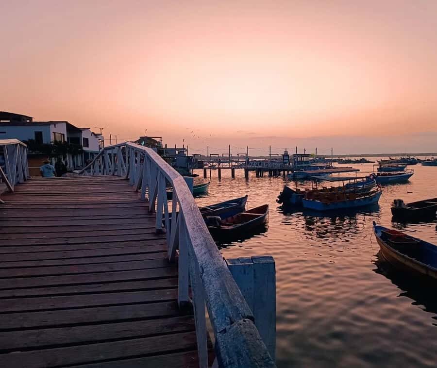 Mancora: Puerto Pizarro - Tour Mangrove Mysteries - What Makes This Tour Stand Out?