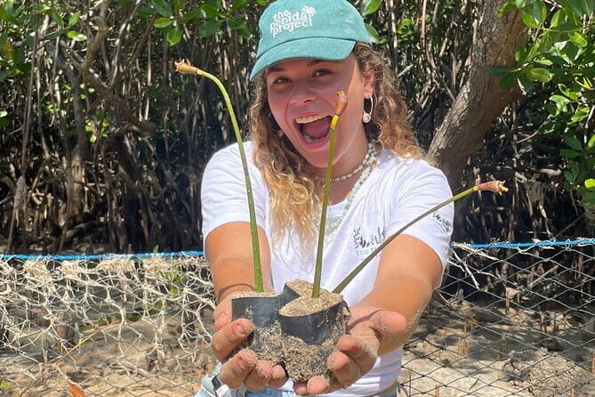 Mangrove Reforestation and Exploration around the Nusa Islands - Final Thoughts
