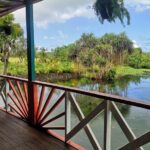 Mangrove to Lagoon Kayak and Paddleboard Adventure - Who Will Love This Experience?