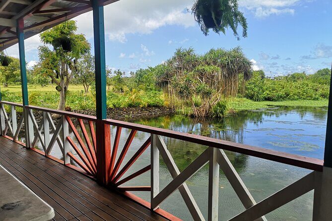 Mangrove to Lagoon Kayak and Paddleboard Adventure - Who Will Love This Experience?  