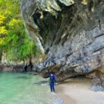 Mangrove Tour 3hour + Beach Swim + Free Lunch - Wildlife Watching and Unique Stops