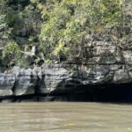 Mangrovetour Sharing Package - Lunch include in Langkawi - Authentic Experiences Highlighted from Reviews