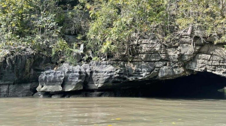 Mangrovetour Sharing Package - Lunch include in Langkawi - Authentic Experiences Highlighted from Reviews