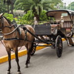 MANILA: HISTORICAL KALESA RIDE TOUR EXPERIENCE IN INTRAMUROS - The Practicalities: What You Need to Know