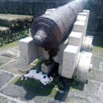 Manila: Intramuros Tour ( Dark) - What’s Included and What to Expect