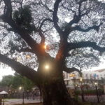 Manila: Intramuros Tour ( Dark) - The Darker Stories Behind the Landmarks