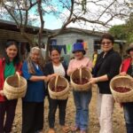 MANILA:Coffee Farm Tour with Coffee bean picking - Who Should Consider This Tour?