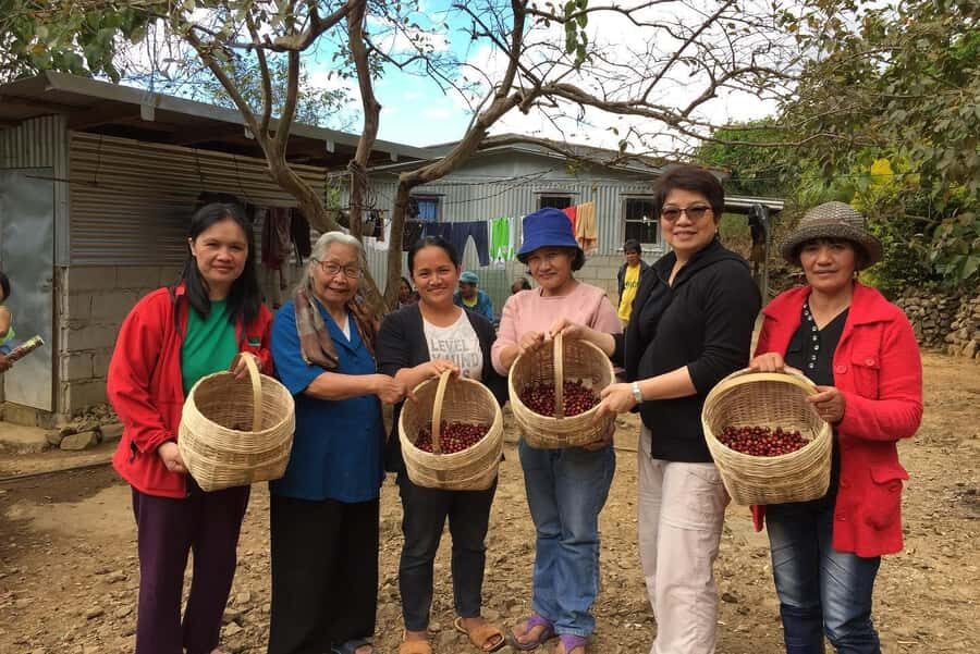 MANILA:Coffee Farm Tour with Coffee bean picking - Who Should Consider This Tour?