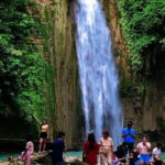 Mantayupan Falls & Moalboal: Snorkeling & Sardine Run Tour - The Practicalities: What to Know